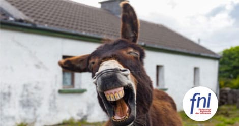 engagement des-travaux-grosse-rigolade