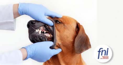 Mesures compensatoires carburants